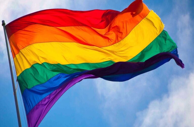 Capa do artigo: A proteção da orientação sexual na LGPD.